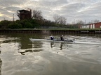 IMG 3578